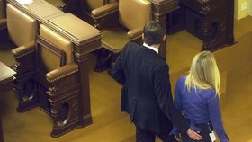 Bárta a Klasnová v poslanecké sněmovně
