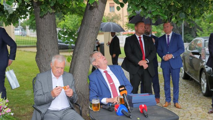 Miloš Zeman se svým předchůdcem Václavem Klausem už netrpělivě vyhlíží holuby.