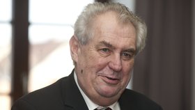 Zeman považuje amnestii za omilostnění soudců a státních zástupců