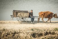 Hladovějící Severokorejce čekají ještě horší časy. Kimovi zdevastovalo úrodu sucho