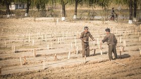 Téměř polovina obyvatel Severní Korey trpí hlady. Vláda žádá o pomoc OSN (ilustrační foto)