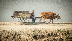 Téměř polovina obyvatel Severní Korey trpí hlady. Vláda žádá o pomoc OSN (ilustrační foto)