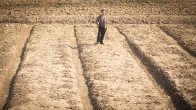 Téměř polovina obyvatele Severní Korey trpí hlady. Vláda žádá o pomoc OSN