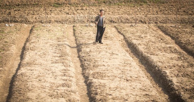 Lidem chybí rýže, pšenice i brambory. Hladem trpí téměř polovina Severokorejců
