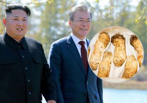 Jihokorejský prezident Mun Če-in dostal od severokorejského vůdce Kim Čong-una vzácný dar, několik tun čirůvek větších.