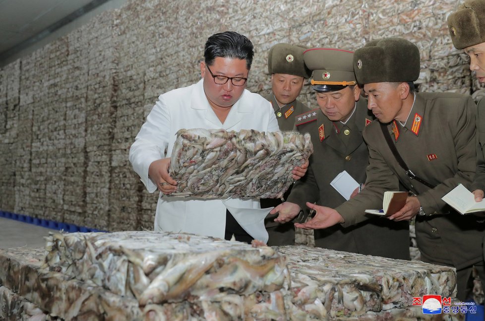 Diktátor KLDR Kim Čong-un provedl inspekci v rybárně.