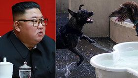 Kim lidem nařídil, aby se zbavili domácích mazlíčků: Severokorejci kvůli nedostatku jídla odevzdávají psy restauracím