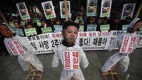 V jihokorejském Soulu se oěpt demonstrovalo proti severokorejskému režimu
