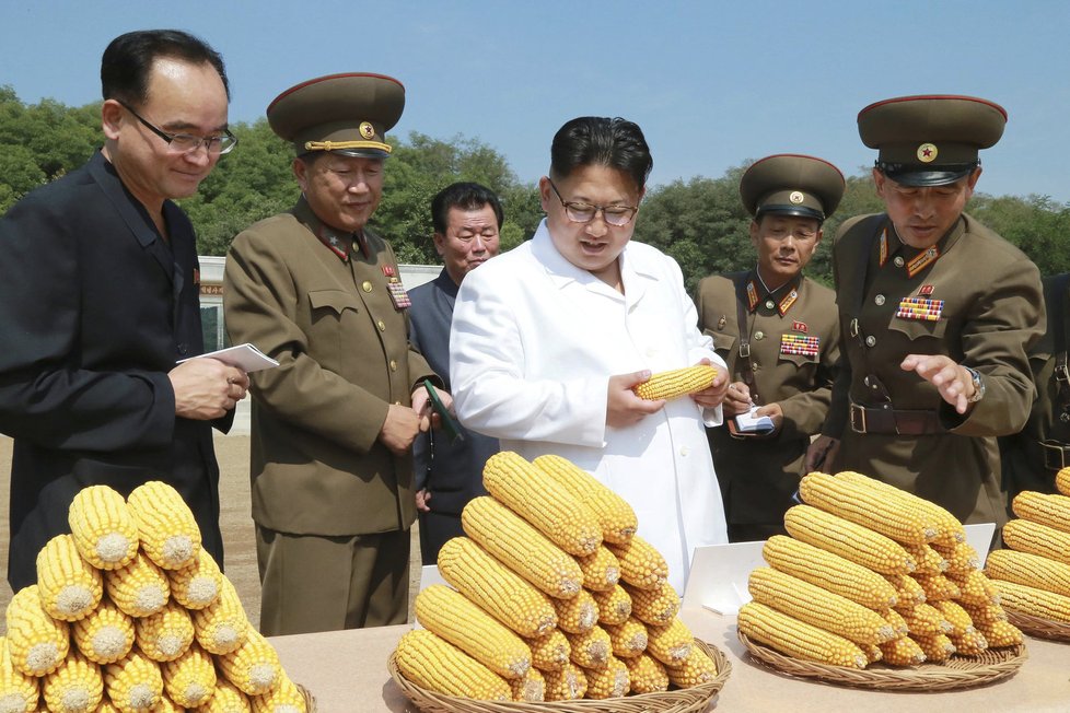 Vůdce KLDR Kim Čong-un na inspekci farmy 1116