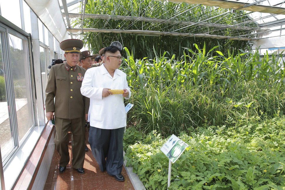 Vůdce KLDR Kim Čong-un na inspekci farmy 