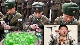 Vtípky z internetu: Severokorejská armáda prý dostala zelenou k útoku na USA, Anonymous udělali z vůdce Kima prasátko