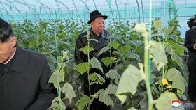 Diktátor Kim Čong-un otevřel v KLDR skleník na okurky (11. 10. 2022)