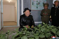 Diktátor Kim na veřejnosti: Otevřel skleník a obdivoval papriky, dav plakal štěstím