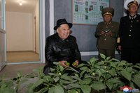 Diktátor Kim na veřejnosti: Otevřel skleník a obdivoval papriky, dav plakal štěstím