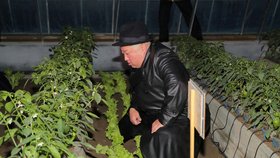 Diktátor Kim Čong-un otevřel v KLDR skleník na okurky (11. 10. 2022)