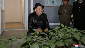Diktátor Kim Čong-un otevřel v KLDR skleník na okurky (11. 10. 2022).