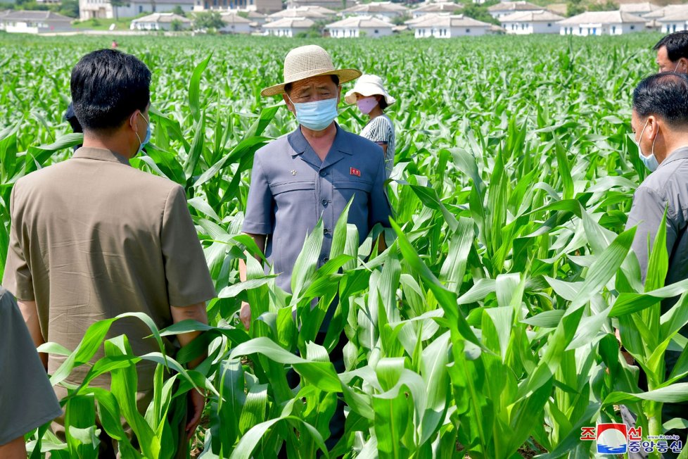 Severní Korea se potýká s počínajícím hladomorem: Záplavy ničí úrodu