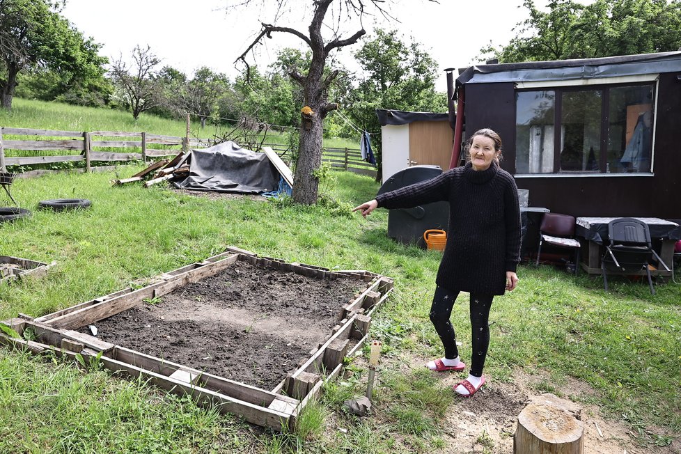 V Klíčovském Háji spokojeně hospodaří lidé bez domova, díky programu městské části se mohou dostat zpátky na nohy