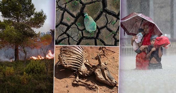 Povodně, vedra a požáry: Zdivočelé klima přeje šíření smrtelných nemocí, tvrdí výzkum