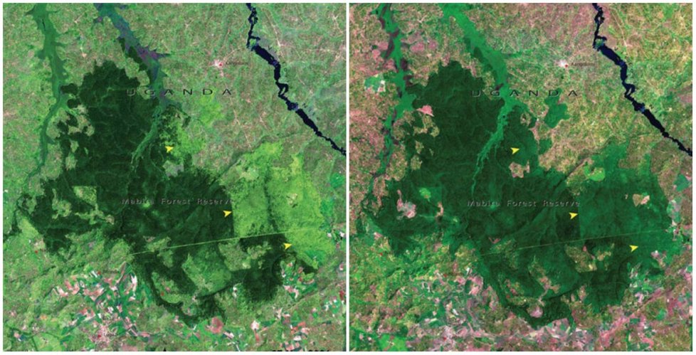 Příklad důsledků klimatických změn.