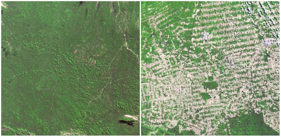 Příklad důsledků klimatických změn.