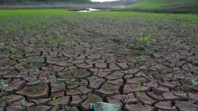 Klimatické změny: Svět bojuje se suchy.