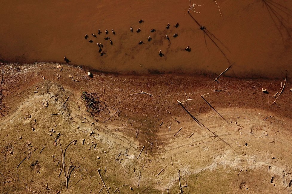 Klimatické změny: Svět bojuje se suchy