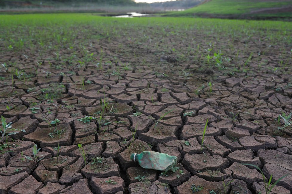 Klimatické změny: Svět bojuje se suchy