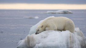 S klimatickými změnami posledních let souvisí masivní tání ledovců.