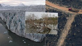 „Je před námi děsivá budoucnost,“ varují vědci. Bijí na poplach kvůli ekologickým hrozbám.