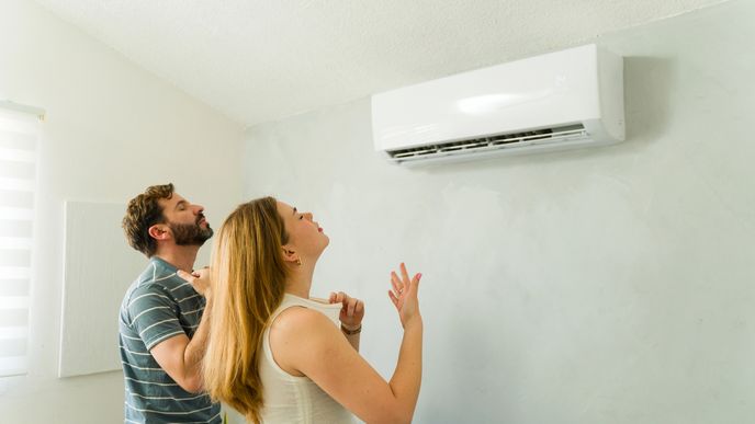 Klimatizace chrání před vedrem i levně topí. Klimatizace chrání před vedrem i levně topí.