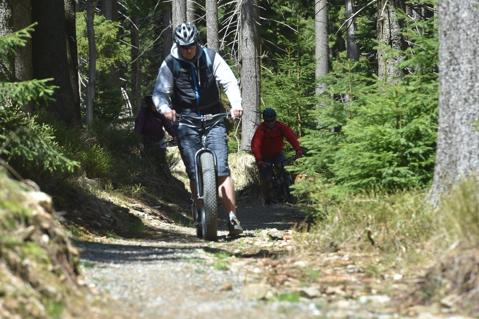 Areál Klínovec u Božího Daru na Karlovarsku nabízí i letní radovánky! V Trail Parke je 24 kilometrů stezek určených pro jízdu na horských kolech.