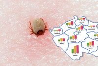 Na Velikonoce dejte pozor na klíšťata. Nakažených lidí výrazně přibylo