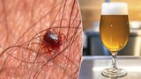 9 mýtů o klíšťatech, kterým přeje počasí: Ochrání před nimi vitamin B a pivo? Stačí na ně olej?