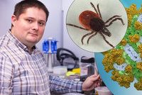 Úspěch! Brněnští vědci se přiblížili léčbě klíšťové encefalitidy: Zabijácký vir má slabinu