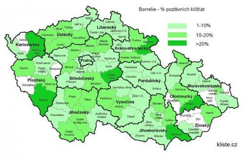 Nebezpečná klíšťata: Jak je vyhnat ze zahrady?