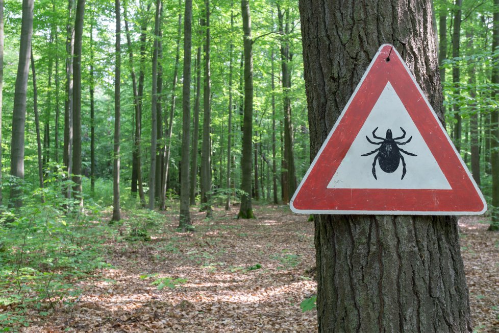 Zájemci se mohou očkovat u svého praktického lékaře, děti u praktického lékaře pro děti a dorost nebo v očkovacím centru.