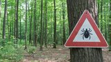 Sezona klíšťové encefalitidy je opět zde!