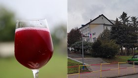Gymnázium v Kloboukách u Brna je přímo spojeno se základní školou. Podle nařčení matky měla zdejší profesorka nalévat studentům víno, to ale bylo součástí přednášky o folkloru.