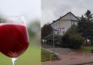 Gymnázium v Kloboukách u Brna je přímo spojeno se základní školou. Podle nařčení matky měla zdejší profesorka nalévat studentům víno, to ale bylo součástí přednášky o folkloru.