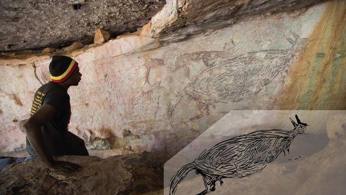 Malba klokana byla objevena na pozemku domorodého kmene Unghango. V rohu snímku je zvýrazněn obrys zvířete.