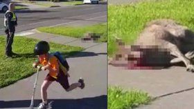 Policista zastřelil zraněného klokánka přímo před malým dítětem.