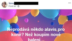 O kloubní výživu pro koně je poptávka i mezi sportovci