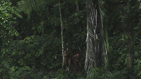 Reakce domorodců z Amazonského pralesu na letadlo.