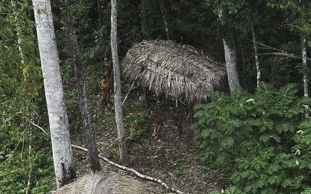 Reakce jiných domorodců z Amazonského pralesu na letadlo