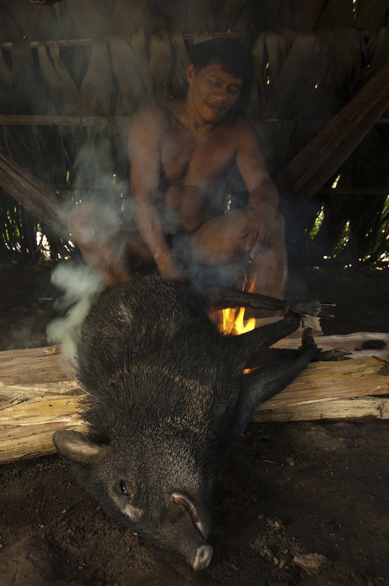 Kmen Huaorani žije v deštném pralese na východu Ekvádoru.