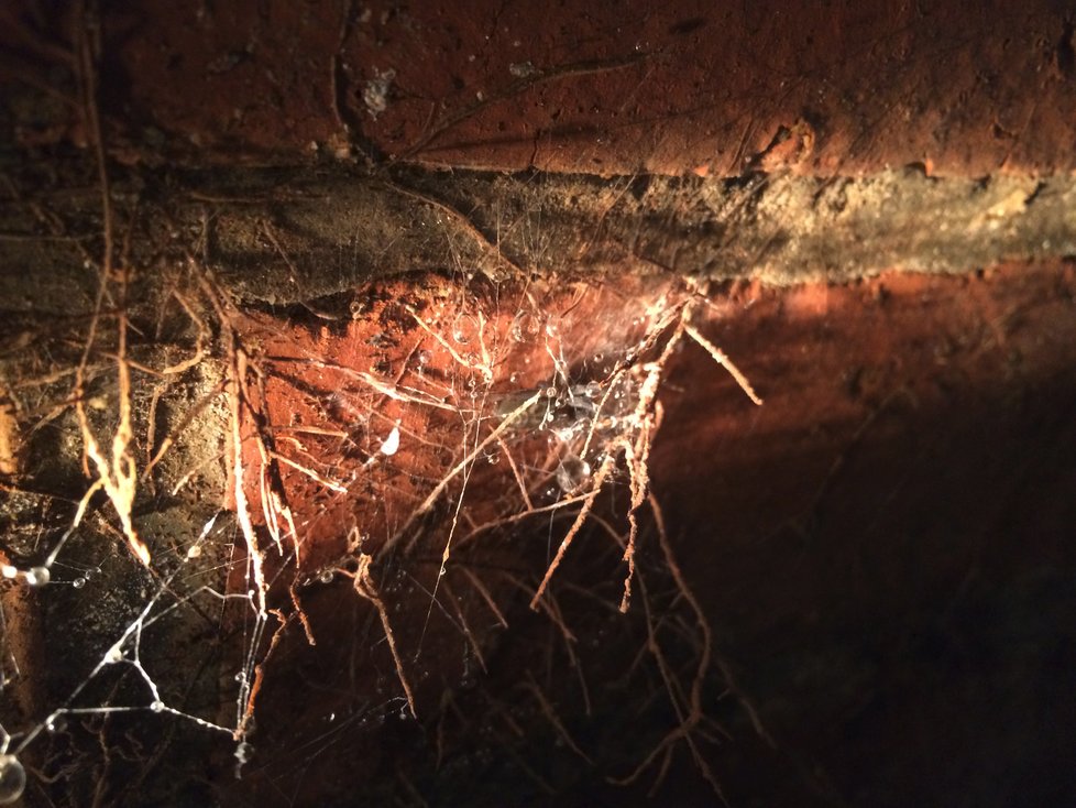 Stoka nebyla od doby, kdy byla postavena, nijak výrazně opravovaná. Je to dáno tím, že byla zbudovaná pečlivě a zručně z trvanlivého materiálu.