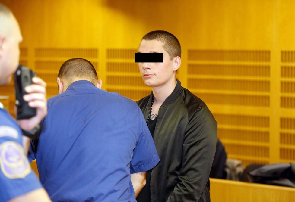 Vrah z Kmětiněvsi opět stanul u soudu.
