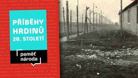 Recenze: Sudetští Němci, komunisti, gulagy aneb Jak prožívali Češi 20. století.