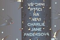 Recenze: Novela láká na propojení magie a vědy, bohužel zklame amatérskými chybami